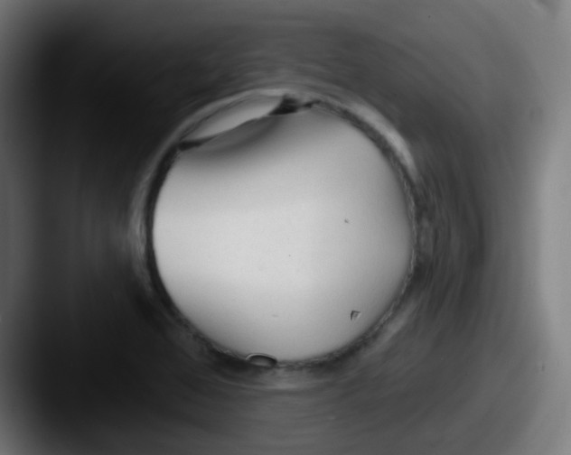 X0000087611368200705181247
