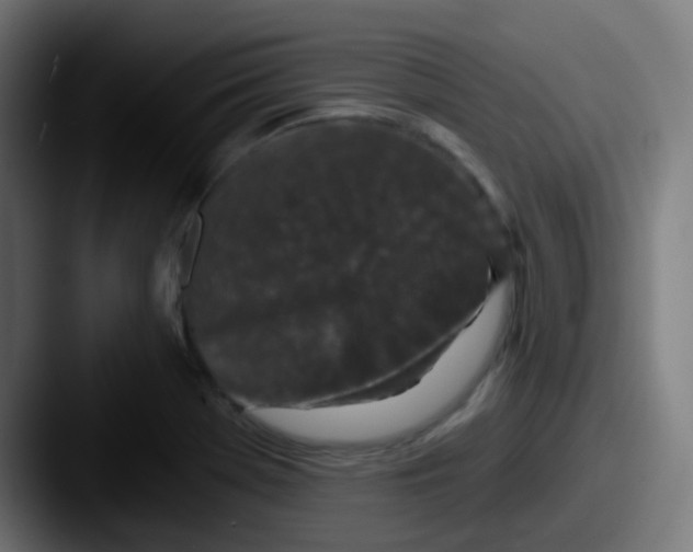 X0000087611369200705181247