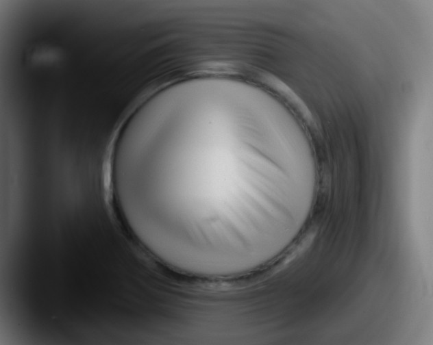 X0000087611370200705181247