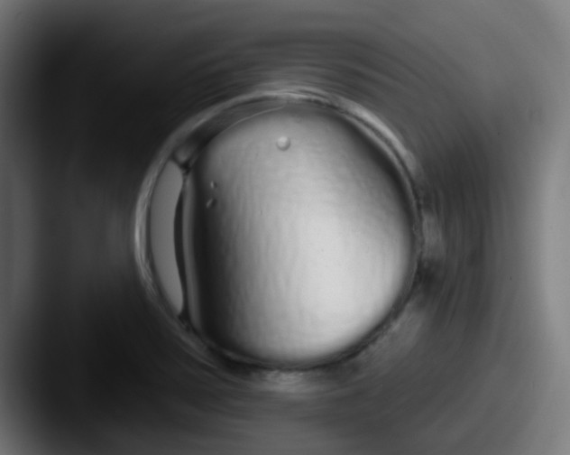 X0000087611371200705181247