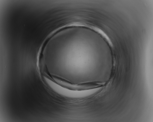 X0000087611372200705181247