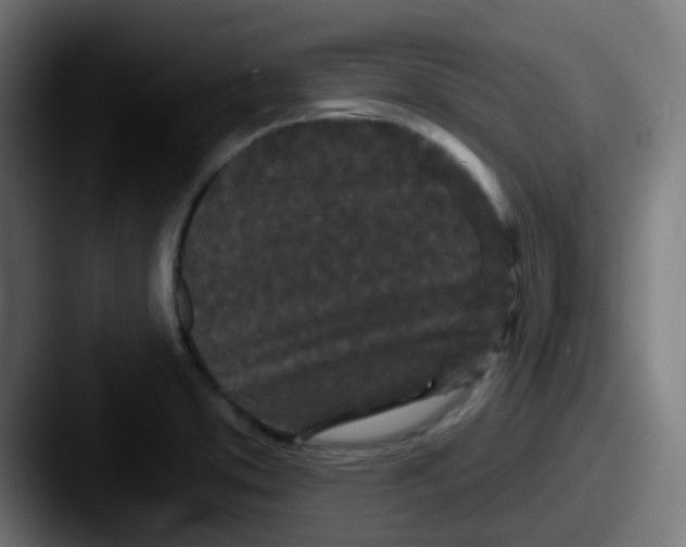 X0000087611373200705181247