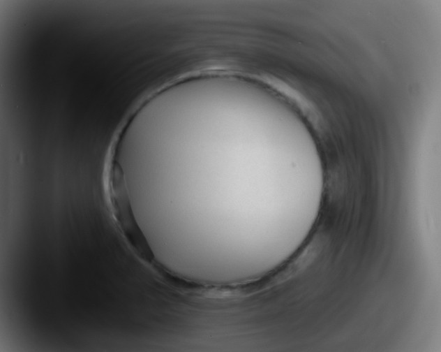 X0000087611374200705181247