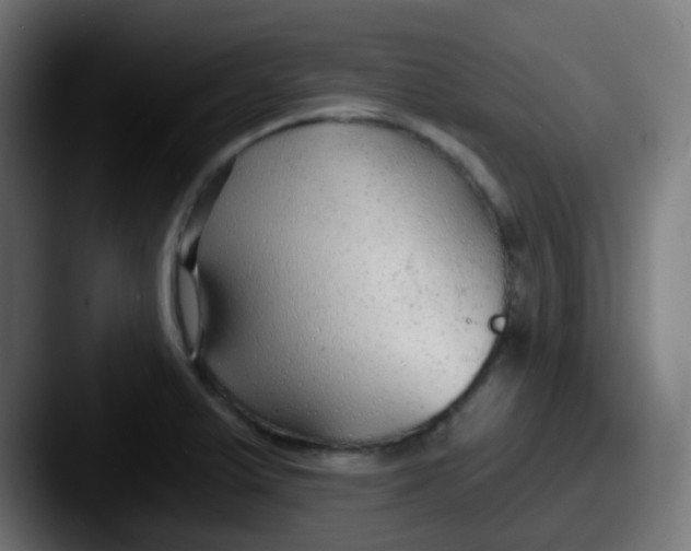 X0000087611375200705181247