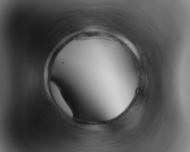 X0000087611376200705181247