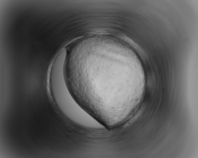 X0000087611378200705181247