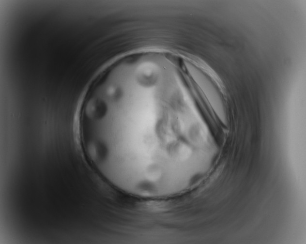 X0000087611380200705181247