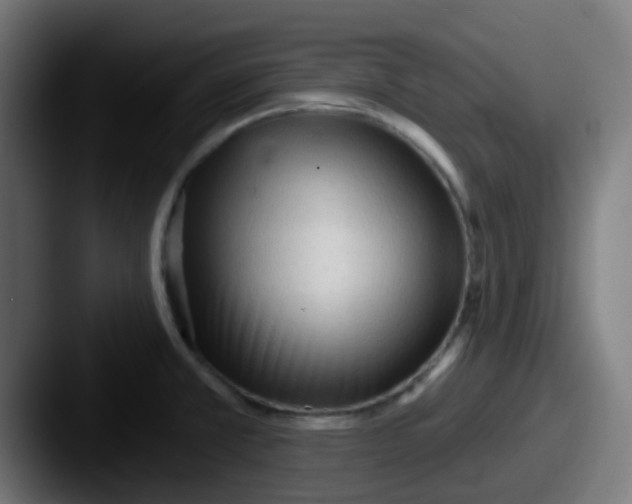 X0000087611381200705181247
