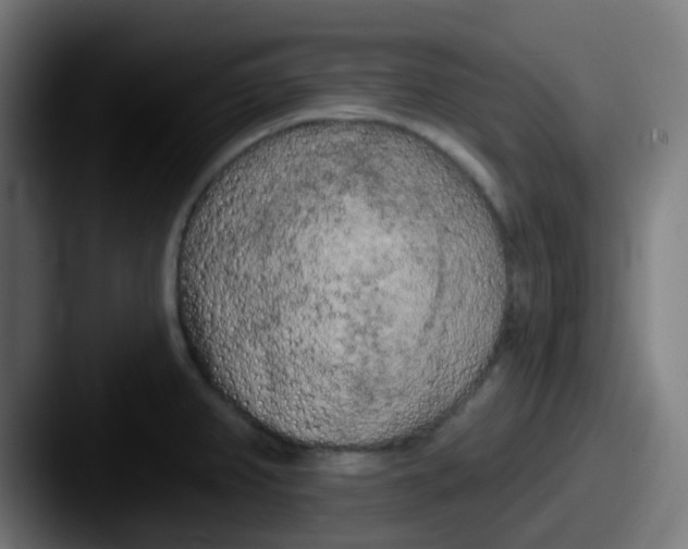 X0000087611382200705181247