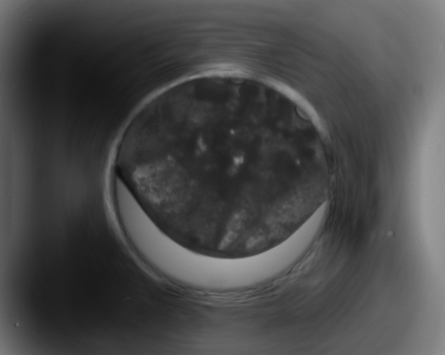 X0000087611383200705181247