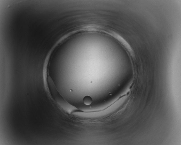 X0000087611384200705181247