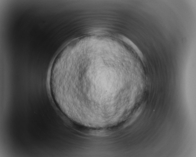 X0000087611386200705181247