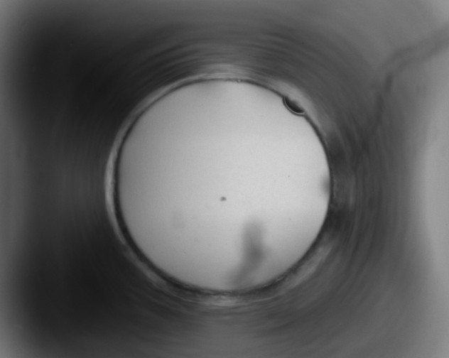 X0000087611387200705181247