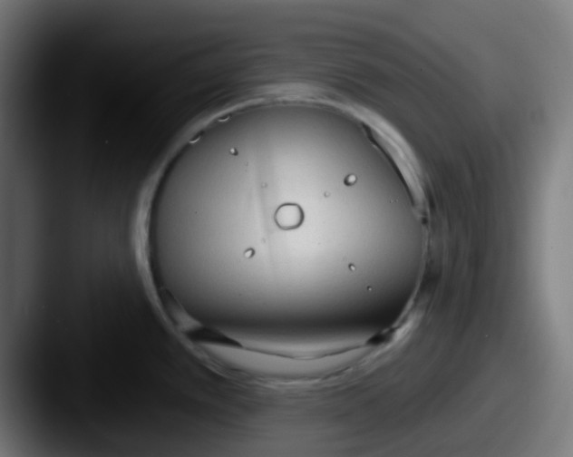X0000087611389200705181247