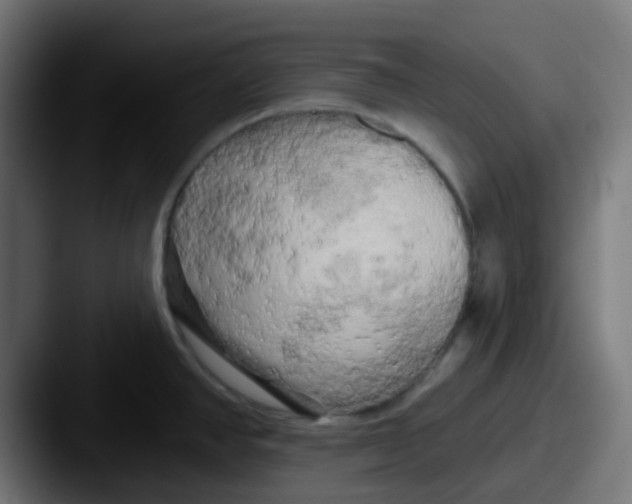 X0000087611390200705181247