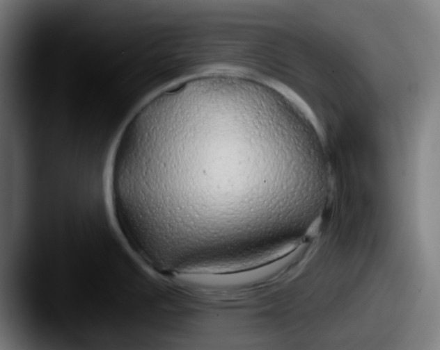 X0000087611391200705181247