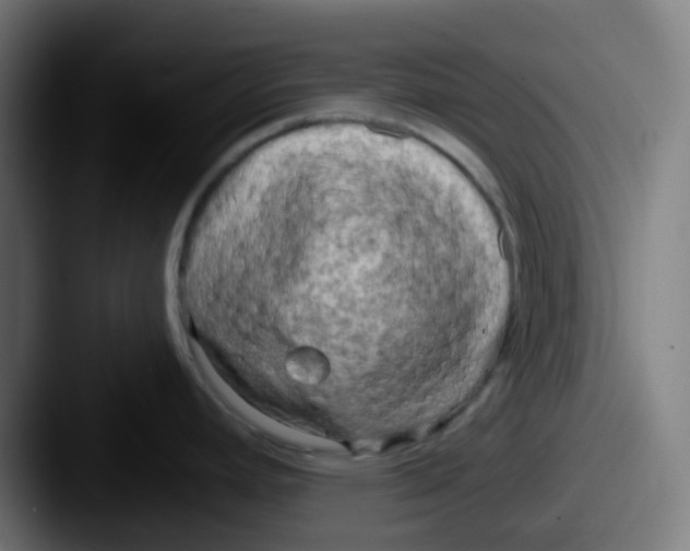 X0000087611392200705181247