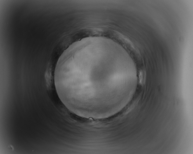 X0000087611395200705181247