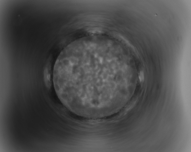 X0000087611396200705181247