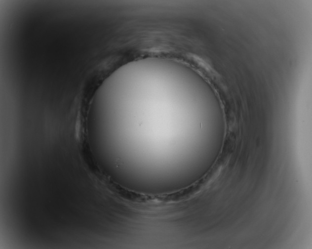 X0000087611398200705181247