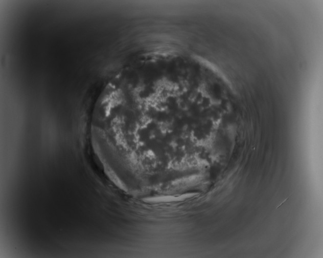 X0000087611399200705181247