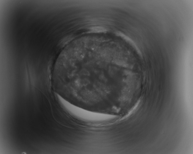 X0000087611401200705181247