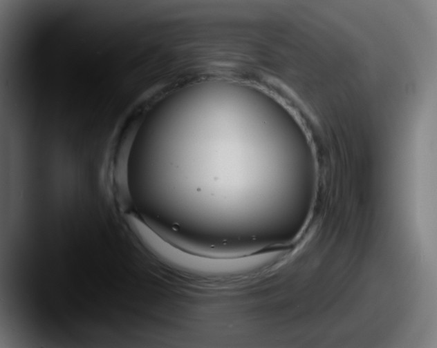 X0000087611402200705181247