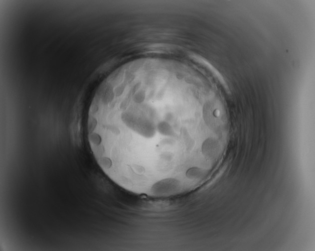 X0000087611403200705181247