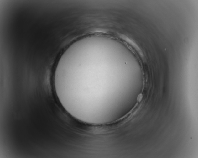 X0000087611404200705181247