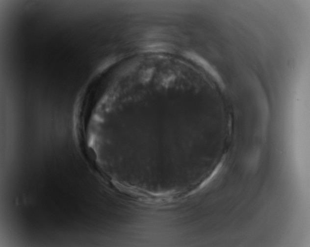 X0000087611405200705181247
