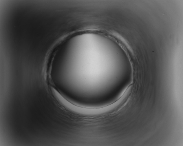 X0000087611406200705181247