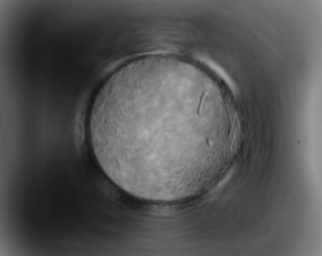 X0000087611407200705181247
