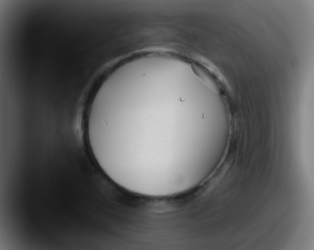 X0000087611408200705181247