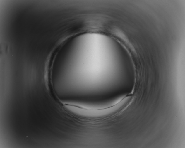 X0000087611410200705181247