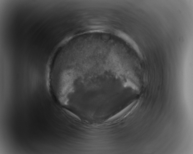 X0000087611411200705181247