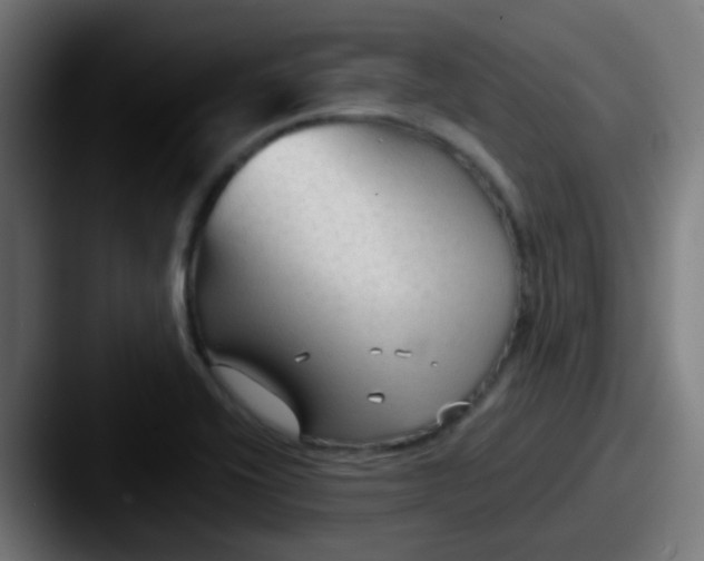 X0000087611416200705181247