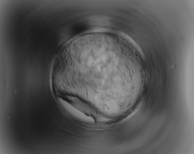 X0000087611417200705181247