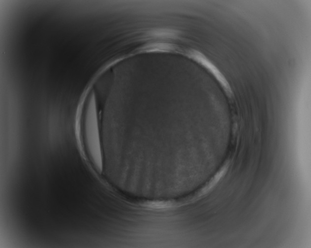 X0000087611418200705181247