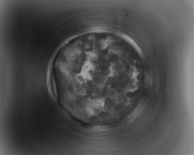 X0000087611419200705181247