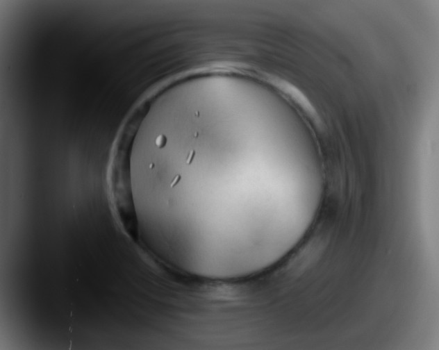 X0000087611420200705181247