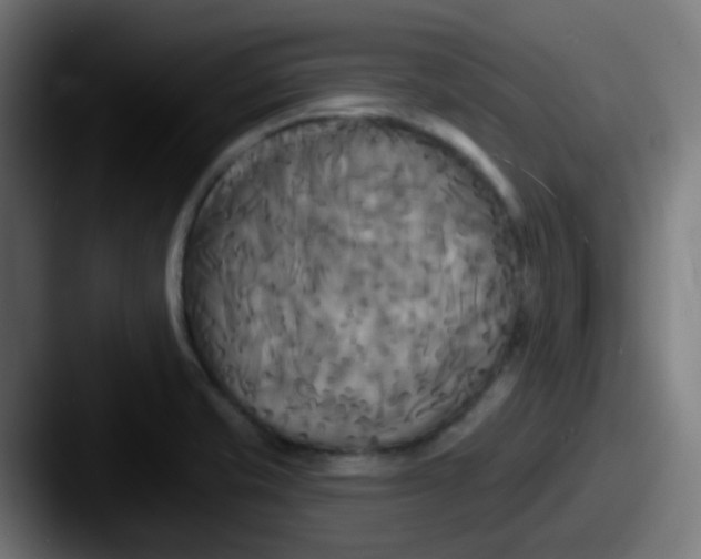 X0000087611421200705181247
