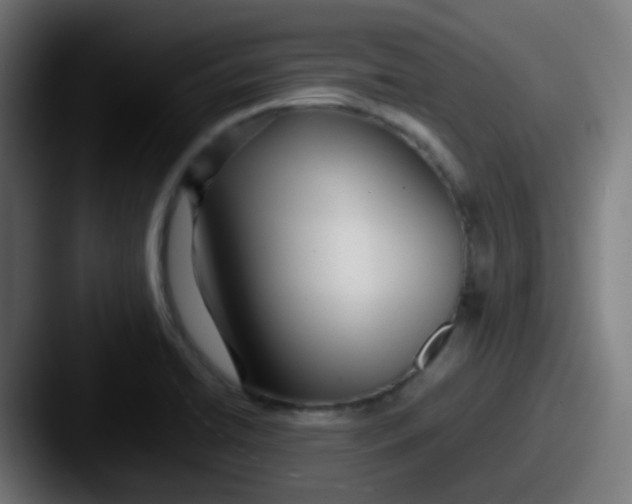 X0000087611422200705181247