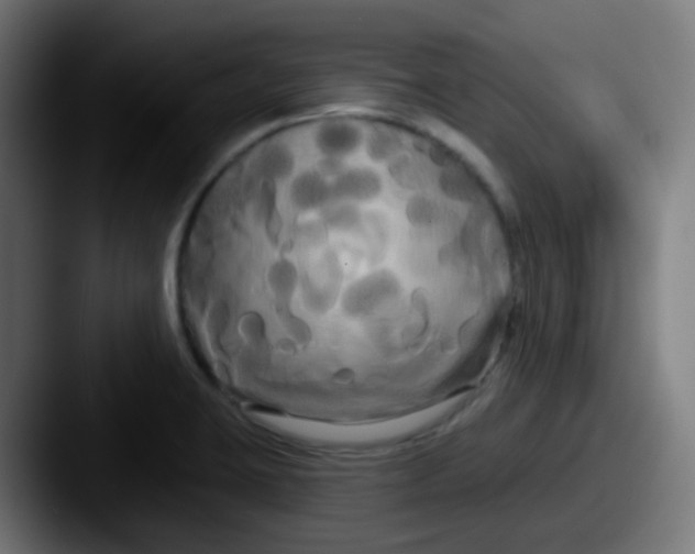 X0000087611423200705181247