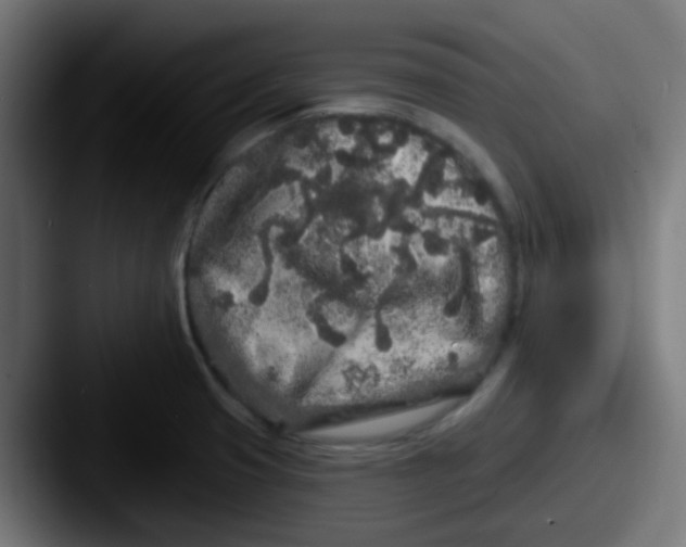 X0000087611425200705181247