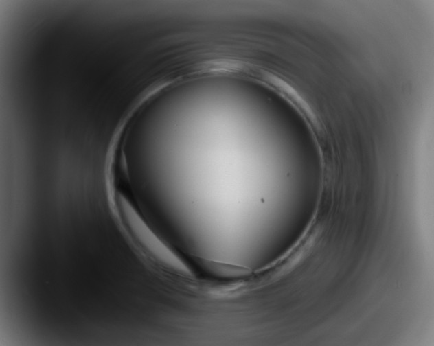 X0000087611426200705181247
