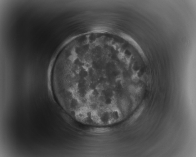 X0000087611427200705181247