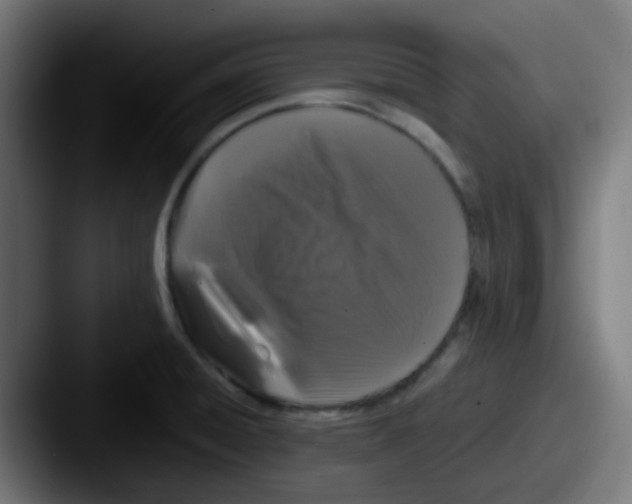 X0000087611428200705181247