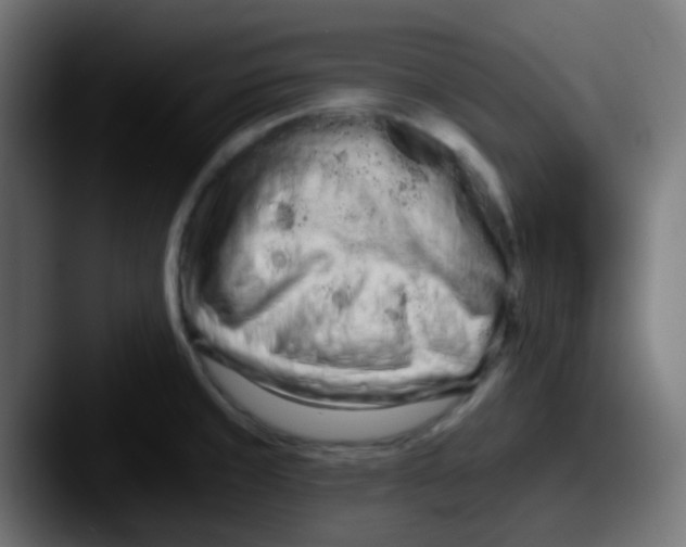 X0000087611429200705181247