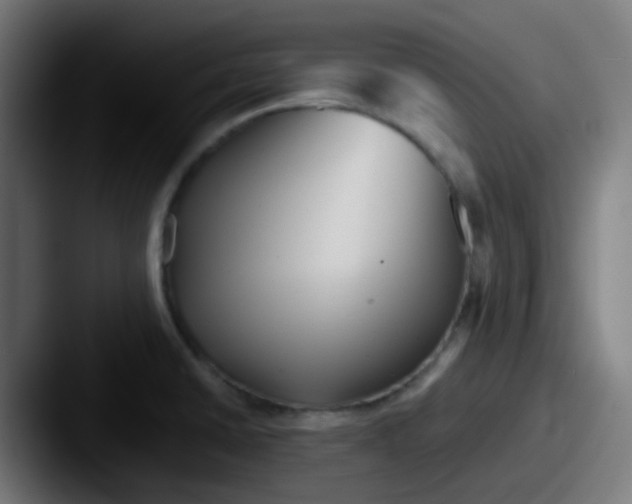 X0000087611430200705181247