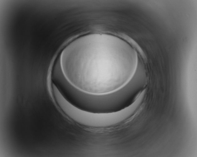 X0000087611432200705181247